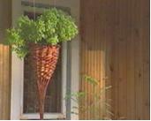 Kuvassa Valmis amppeli ripustettuna terassille.  